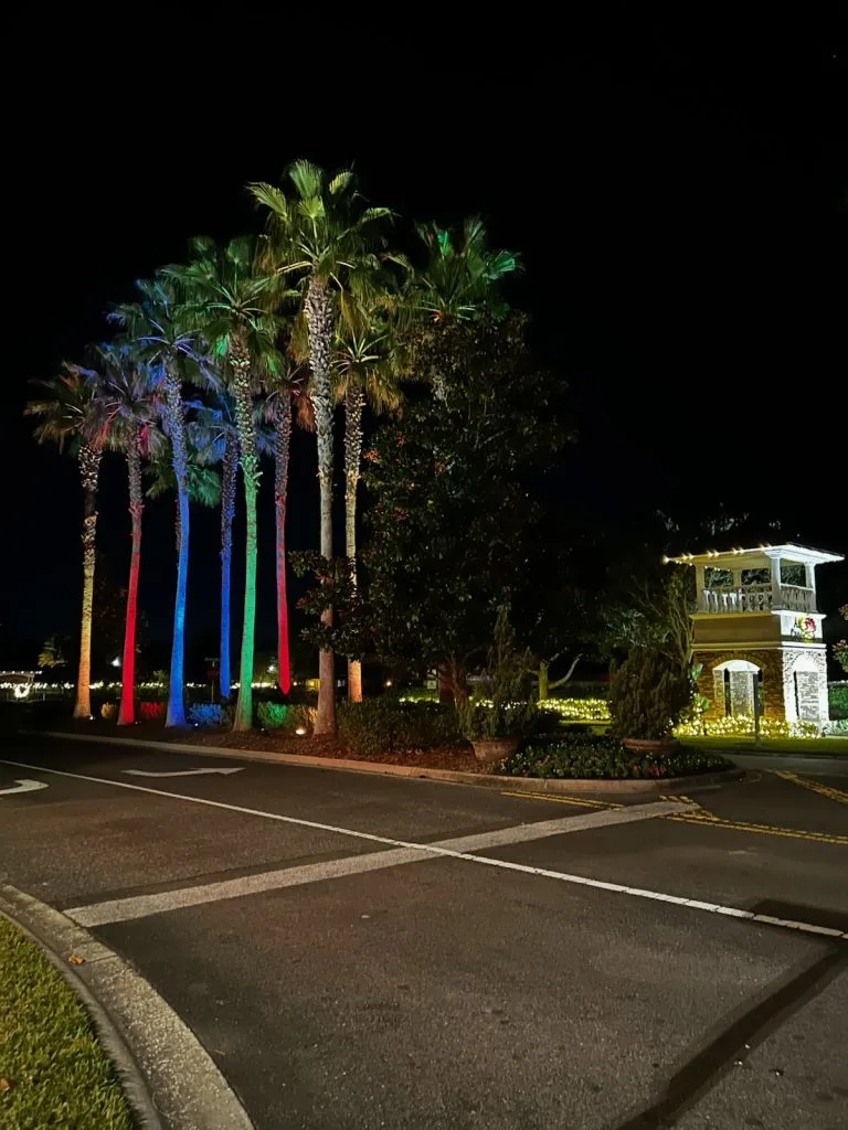 Landscape lighting highlights tall palm trees against a dark night sky
